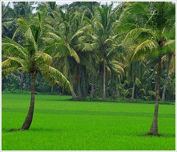 Konaseema_alttext